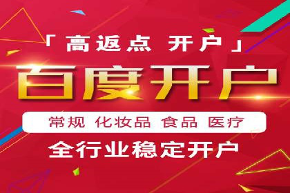 案例分析：SEM广告助力电商行业突破